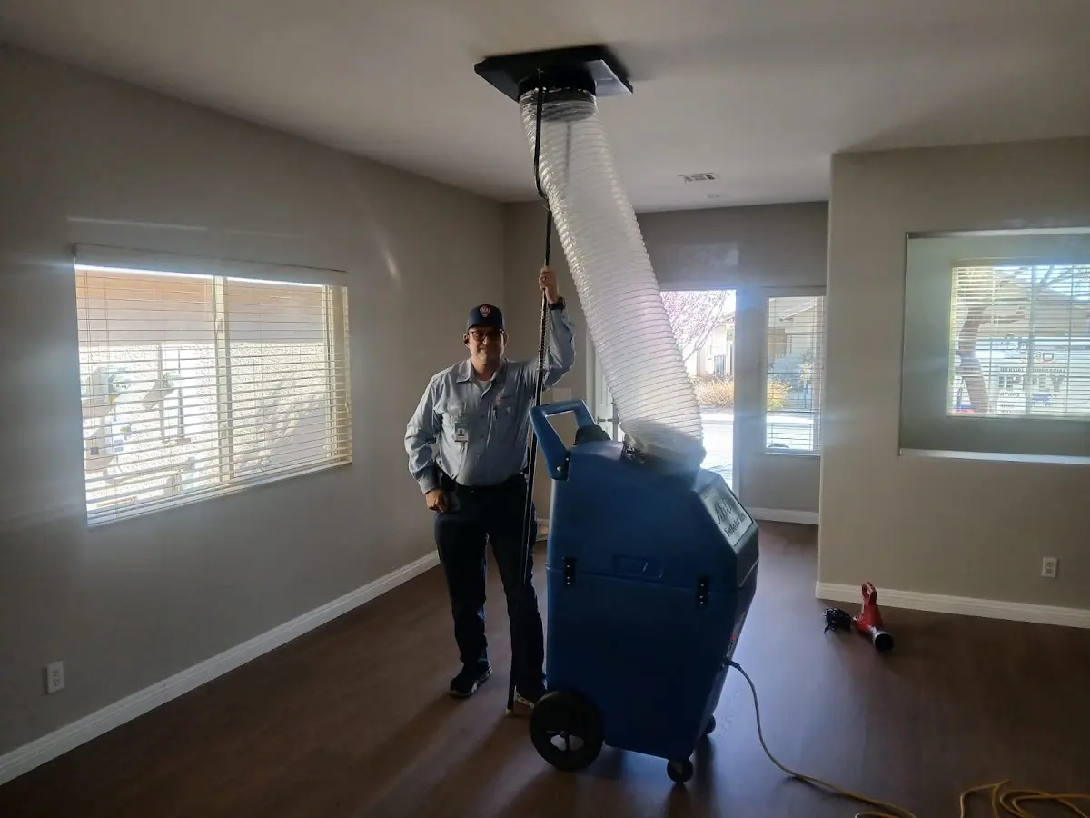 Professional Dryer Vent Cleaning work inside a Paradise home